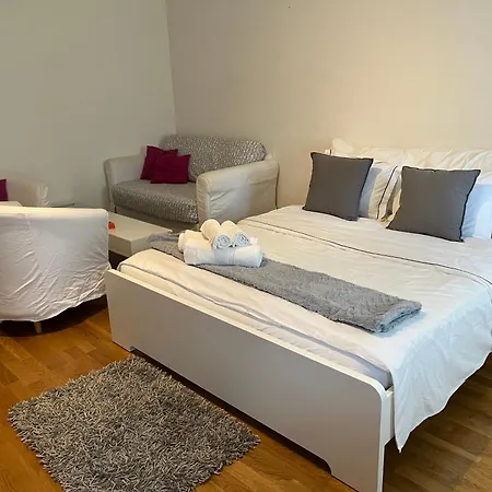 7 Min Walking From Gare Lausanne