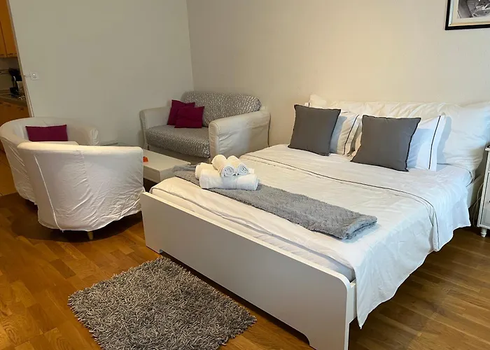 7 Min Walking From Gare Lausanne